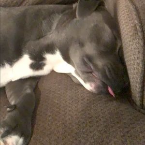 Meet your Posher, Ashlee